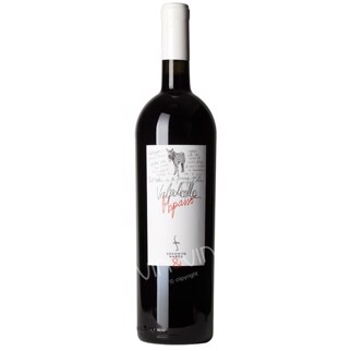 2010 Valpolicella Ripasso